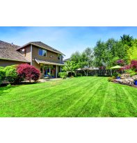 Cómo proteger jardines y árboles de la oruga procesonaria