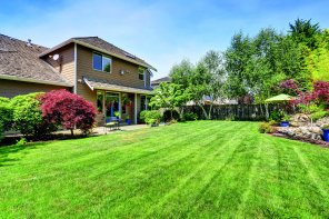 Cómo proteger jardines y árboles de la oruga procesonaria