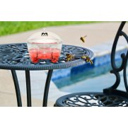 Líquido para trampa de avispas