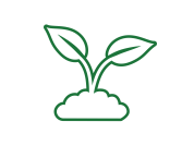 Huerta y huerto urbano