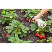 Pistola Enfermedades hongos y bacterias BIO