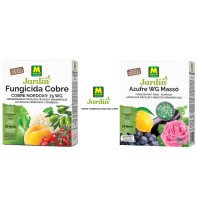 ¿Qué fungicida uso, azufre o cobre?