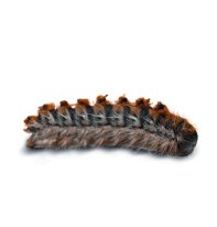 ¿Qué es la oruga procesionaria?