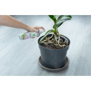 Abono foliar orquídeas y epífitas