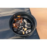 Bolsa de briquetas de carbón