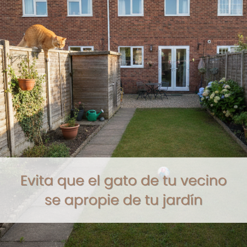 Evita que el gato de tu vecino se apropie de tu jardín