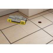 Preben trampa adhesiva para cucarachas