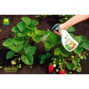 Pistola Enfermedades hongos y bacterias BIO