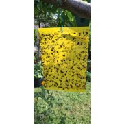Trampa cromática anti-insectos
