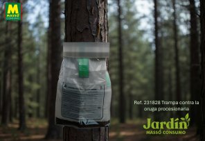 La trampa oruga procesionaria
